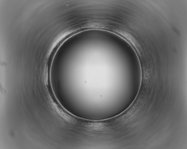 X0000091101131200708061414