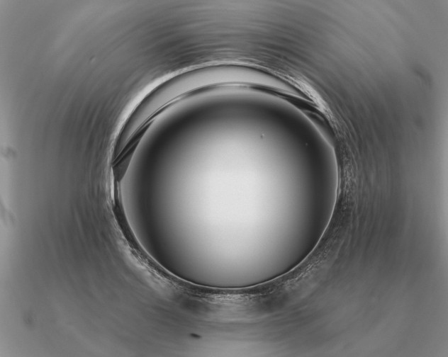 X0000091101132200708061414