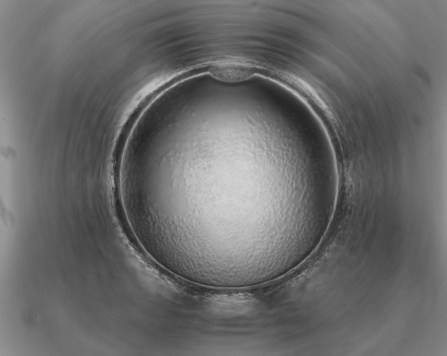 X0000091101133200708061414