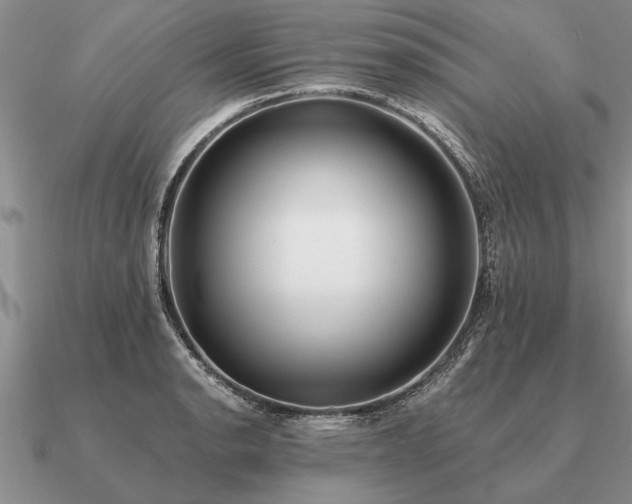 X0000091101134200708061414