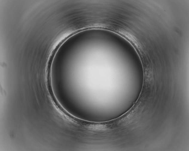 X0000091101135200708061414