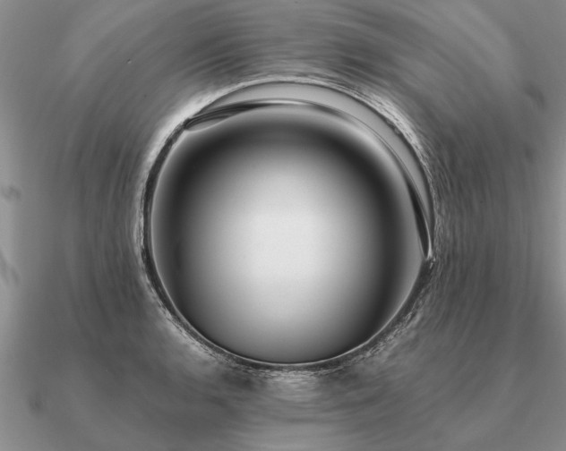 X0000091101136200708061414