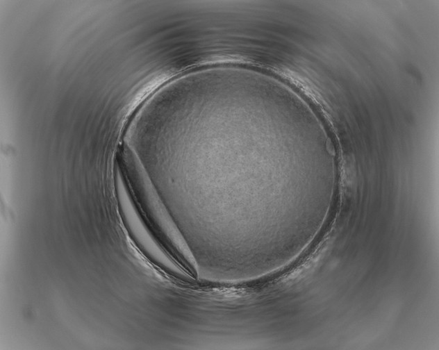 X0000091101137200708061414