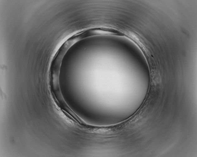 X0000091101140200708061414