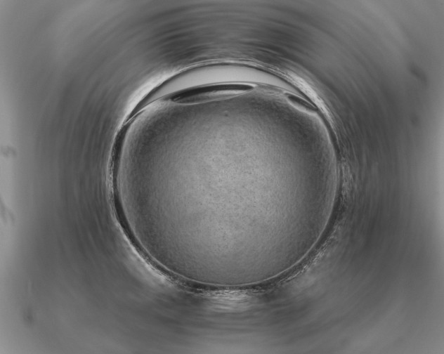 X0000091101141200708061414