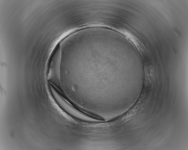 X0000091101142200708061414