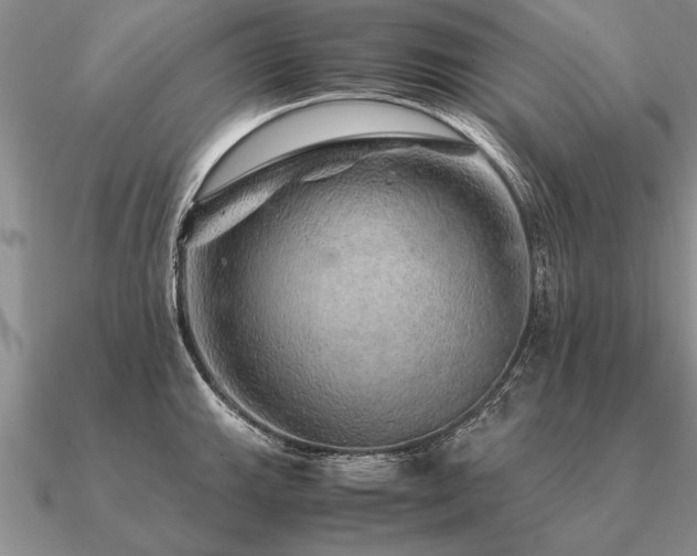 X0000091101143200708061414