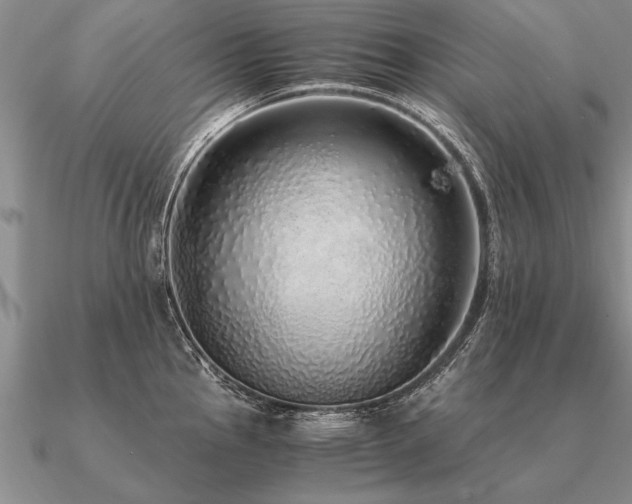 X0000091101145200708061414