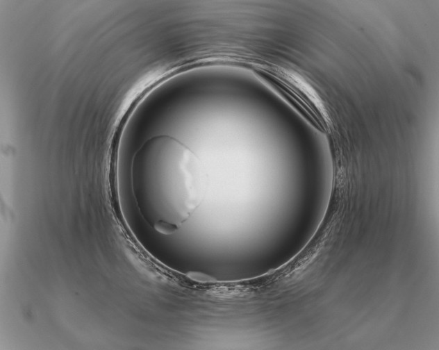 X0000091101146200708061414