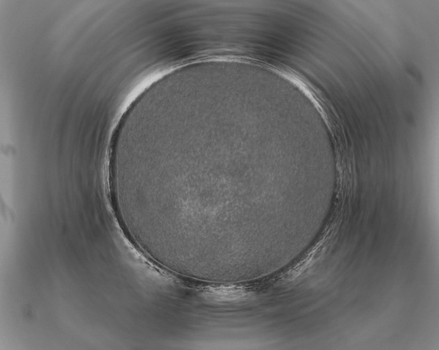 X0000091101147200708061414