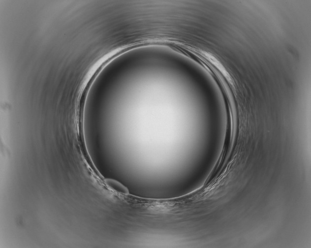 X0000091101148200708061414