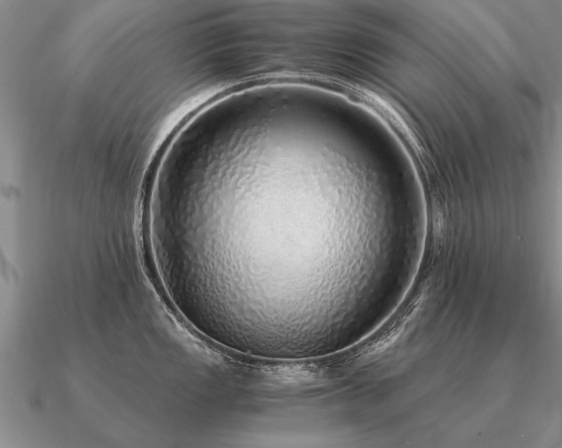 X0000091101149200708061414