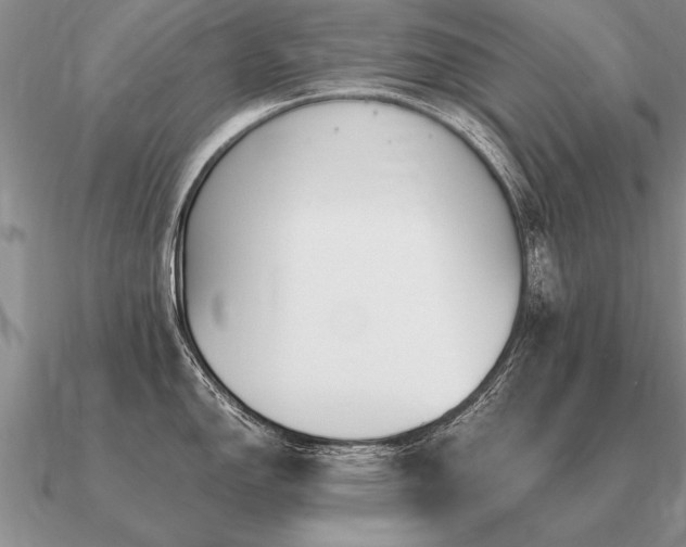 X0000091101150200708061414