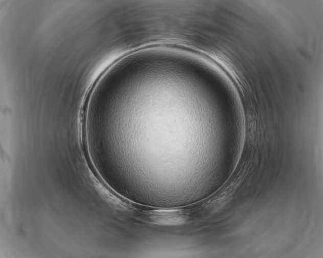 X0000091101151200708061414