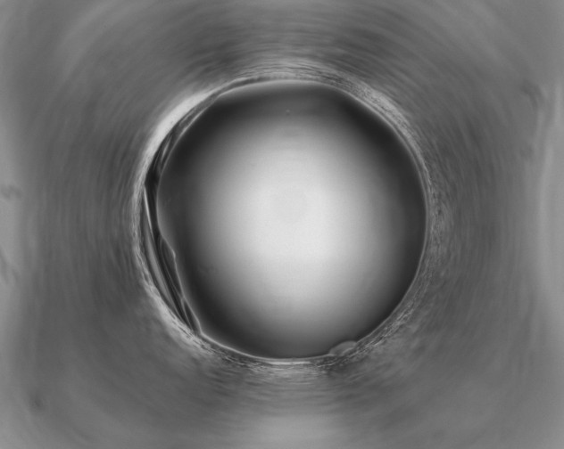 X0000091101152200708061414