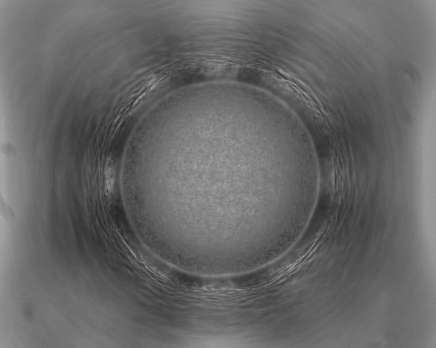 X0000091101154200708061414