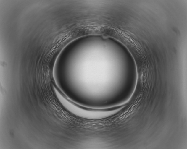 X0000091101156200708061414