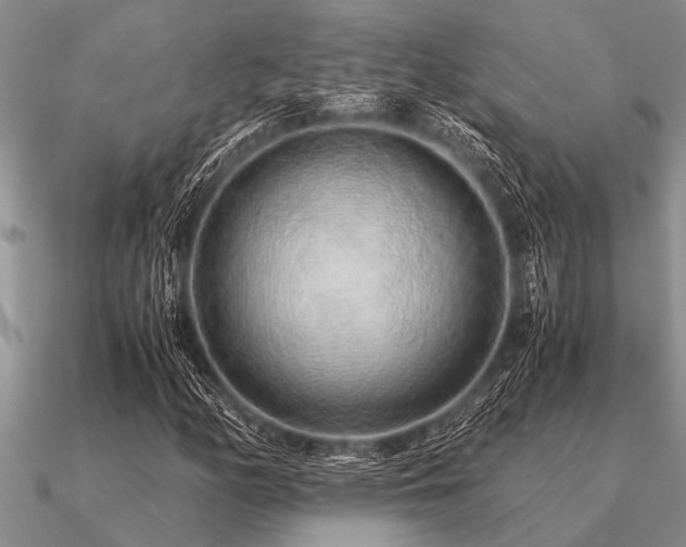 X0000091101158200708061413