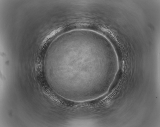 X0000091101159200708061413