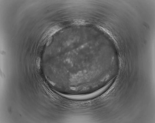 X0000091101161200708061413