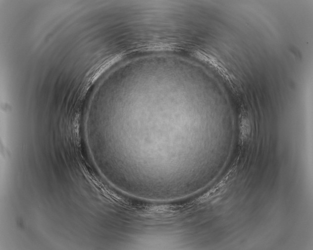 X0000091101162200708061413