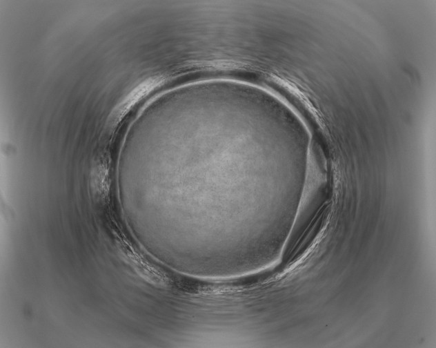 X0000091101163200708061413