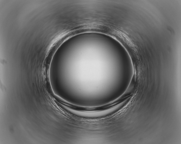 X0000091101164200708061413