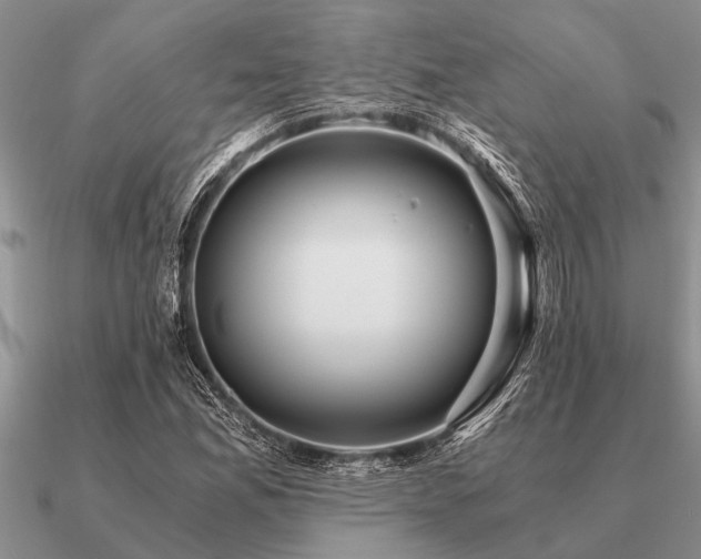 X0000091101165200708061413