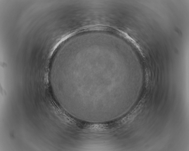 X0000091101166200708061413