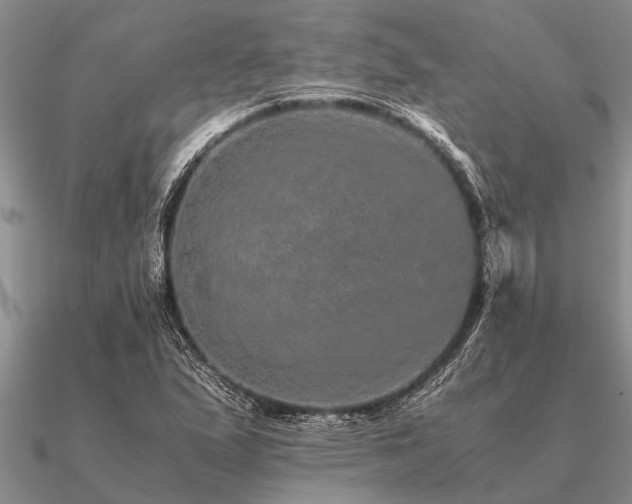 X0000091101167200708061413