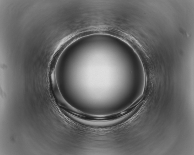 X0000091101168200708061413