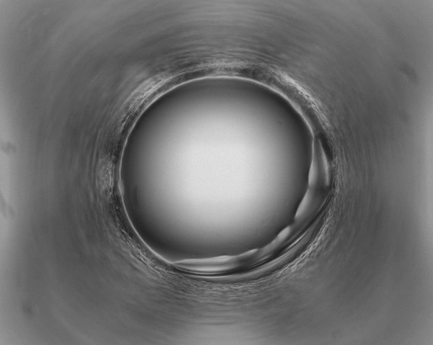 X0000091101169200708061413