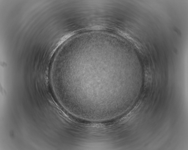 X0000091101170200708061413