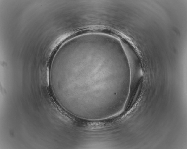 X0000091101171200708061413