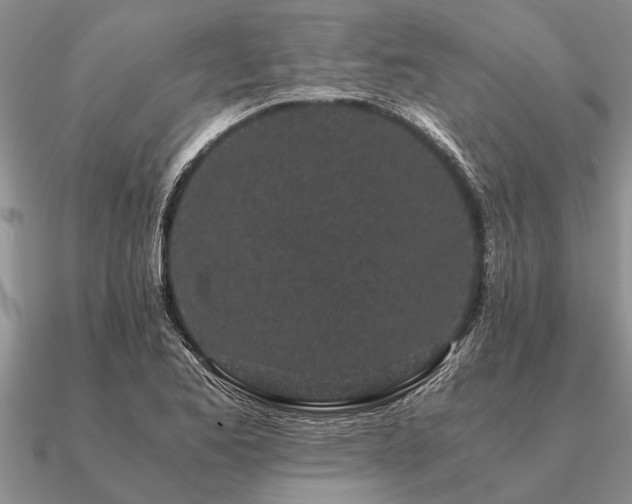 X0000091101173200708061413