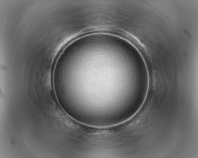 X0000091101174200708061413