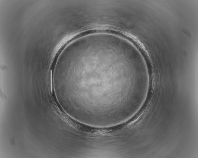 X0000091101175200708061413