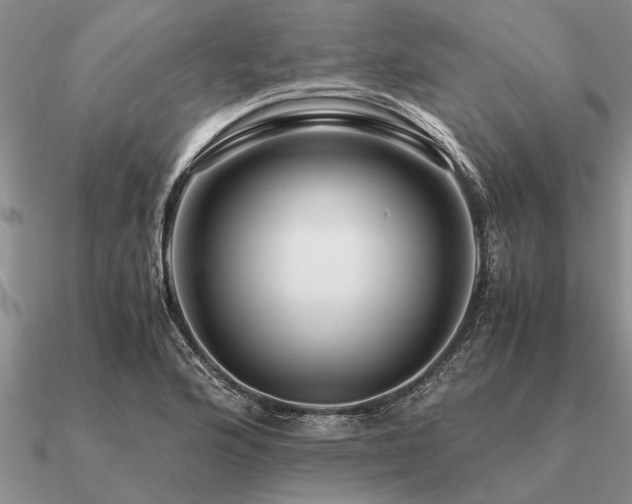 X0000091101176200708061413