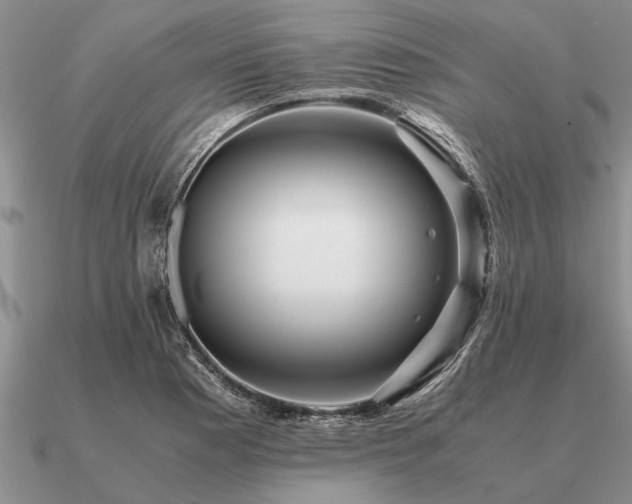 X0000091101177200708061413