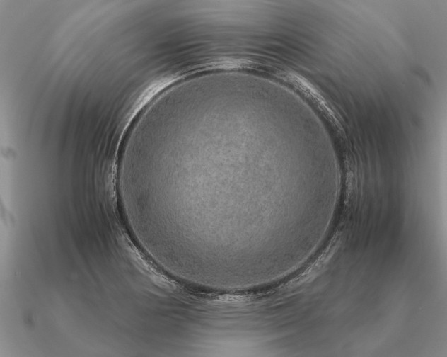 X0000091101178200708061413