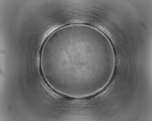 X0000091101179200708061413