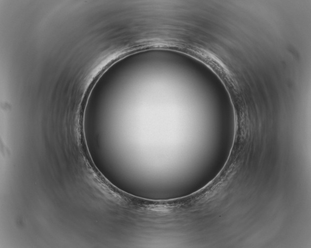 X0000091101182200708061413