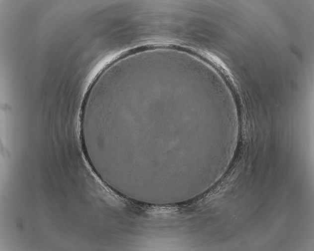 X0000091101183200708061413