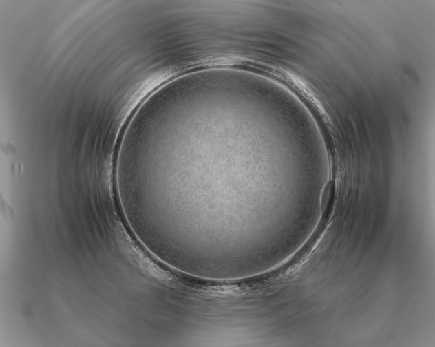 X0000091101186200708061413