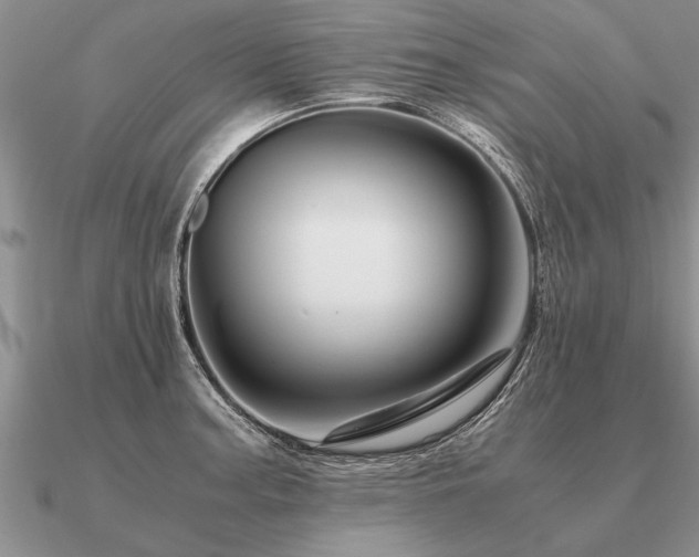 X0000091101187200708061413