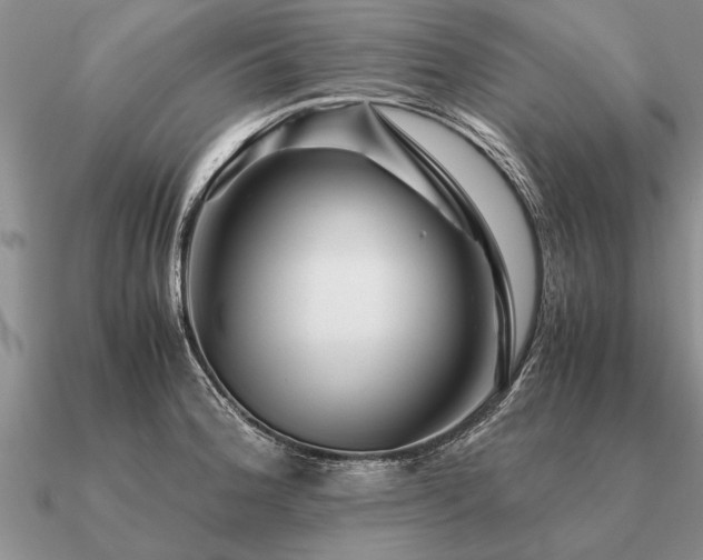 X0000091101188200708061413