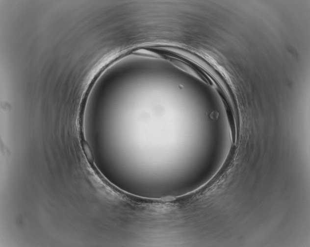 X0000091101189200708061413