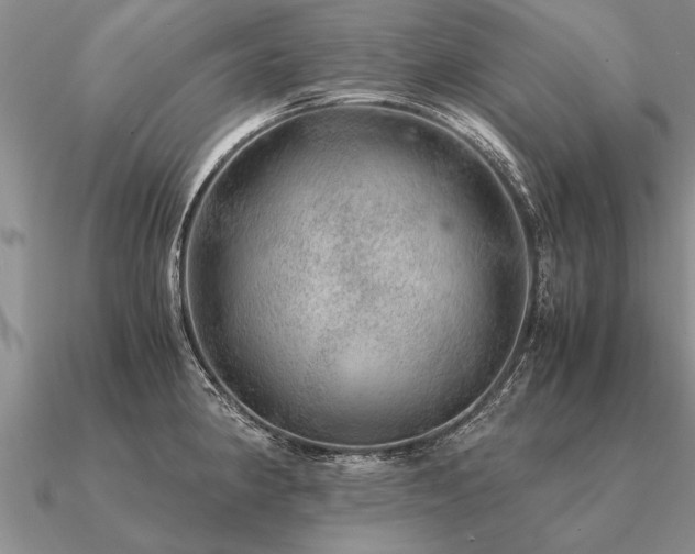 X0000091101190200708061413