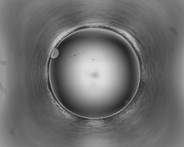 X0000091101191200708061413