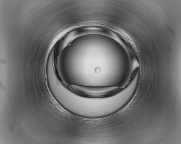 X0000091101192200708061413